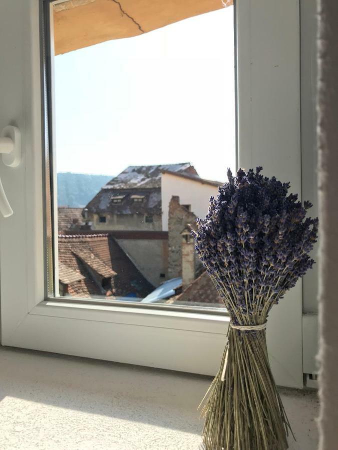 Casa Otto Sighisoara Apartman Kültér fotó